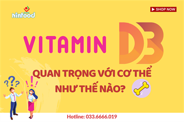 VITAMIN D3 QUAN TRỌNG VỚI CƠ THỂ NHƯ THẾ NÀO?